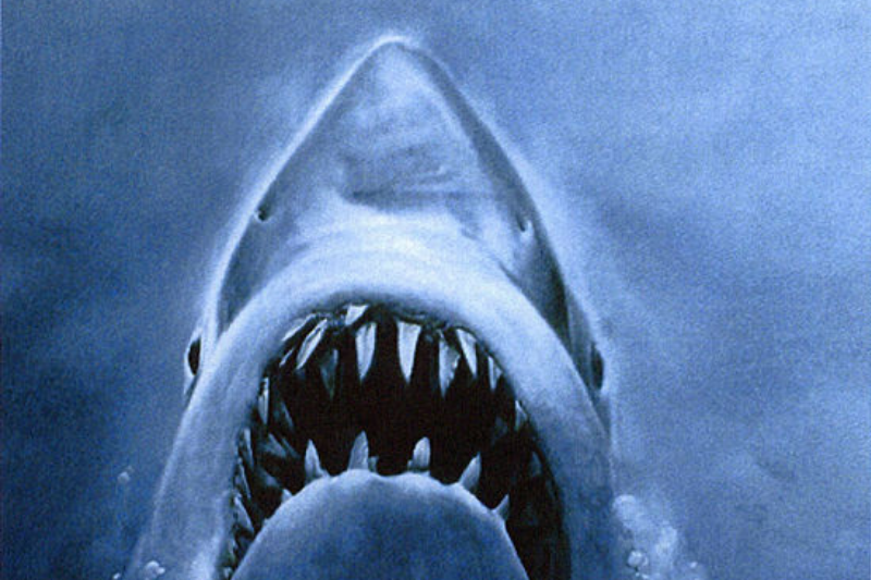 Jaws