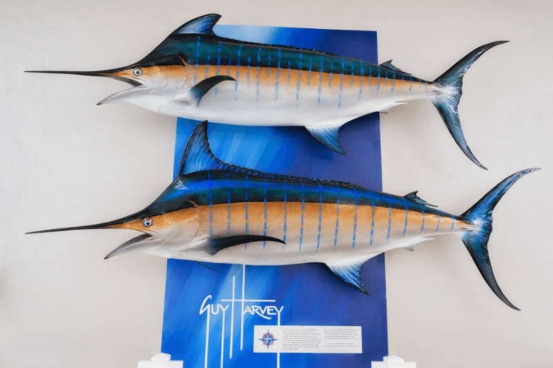 Guy Harvey Font Generator Preview