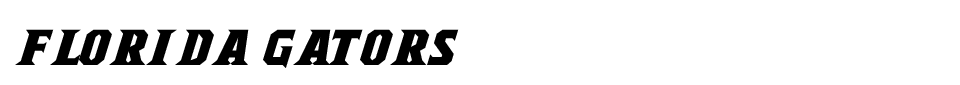 Florida Gators Font