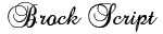 Brock Script preview