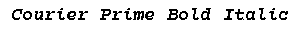Courier Prime Bold Italic preview