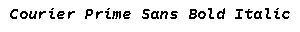 Courier Prime Sans Bold Italic preview