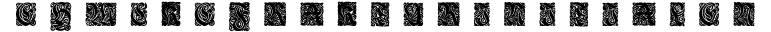 Ehmcke Fraktur Initialen preview