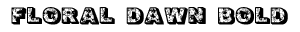 Floral Dawn Bold preview