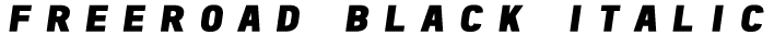 Freeroad Black Italic preview