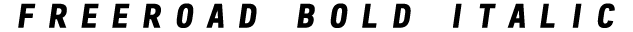 Freeroad Bold Italic preview