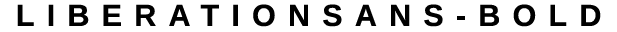 Liberation Sans Bold preview