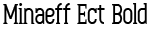 Minaeff Ect Bold preview