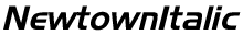Newtown Italic preview