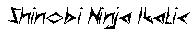 Shinobi Ninja Italic preview