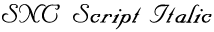 SNC Script Italic preview