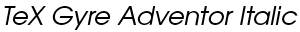 TeX Gyre Adventor Italic preview