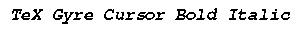TeX Gyre Cursor Bold Italic preview