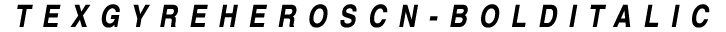 TeX Gyre Heros Cn Bold Italic preview