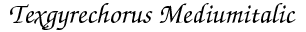 Texgyrechorus Mediumitalic preview