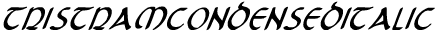 Tristram Condensed Italic preview